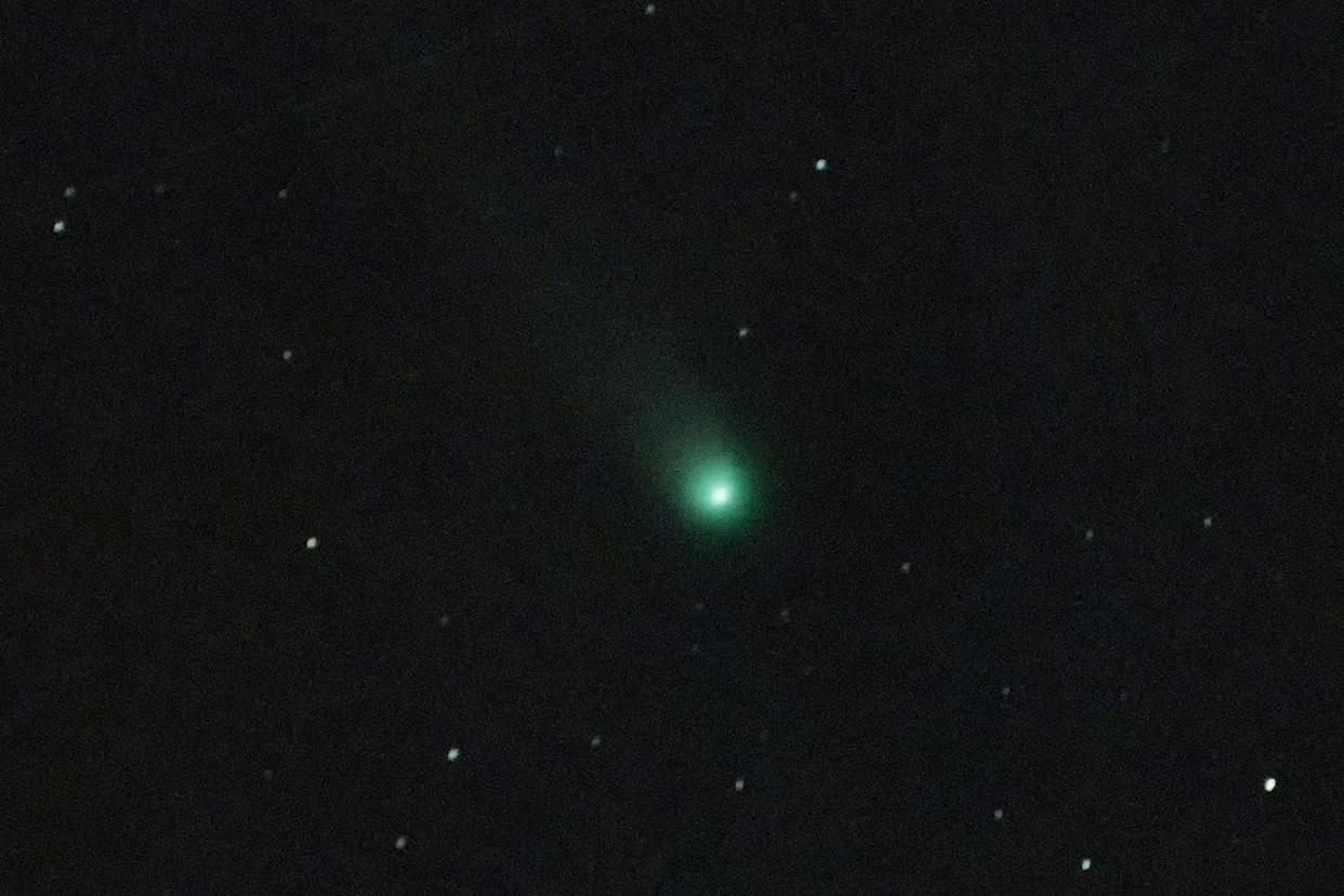 Comet C/2025 A6 (Lemmon)Credit: Davide Pischettola/NurPhoto via Getty