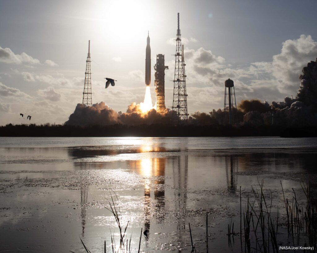 Silhouette of rocket launch with bird flying over water in foreground (NASA/Joel Kowsky)