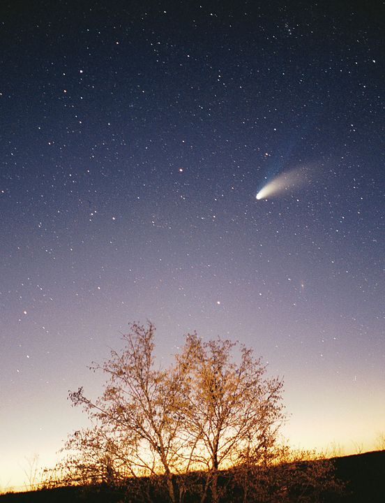 Sky, fading from yellow to purple to dark, with a tree in the foreground and a bright comet in the starry sky.