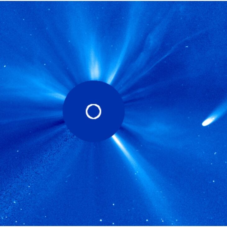 Comet PanSTARRS makes its closest approach to Earth this Sunday with a magnitude that could surpass Sirius. The best observation in Brazil will be in early May.

