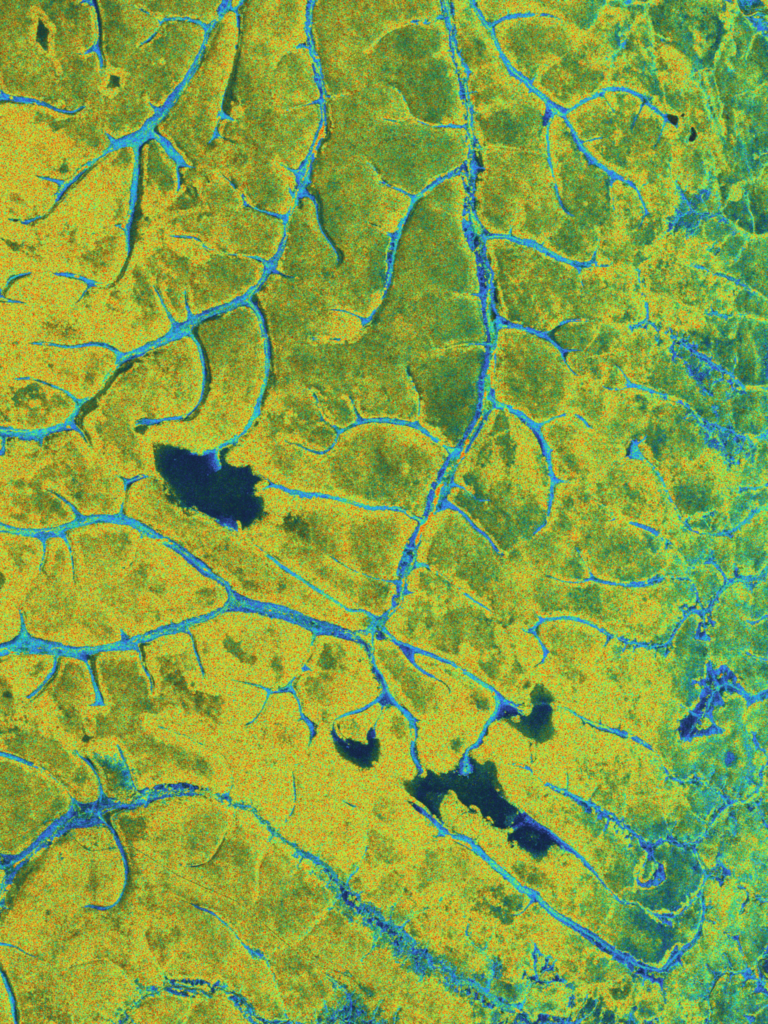 Stunning images from Biomass mark its one year in orbit