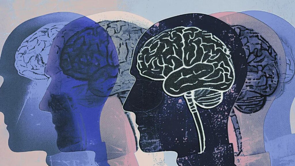 The brain forgets in order to improve memory