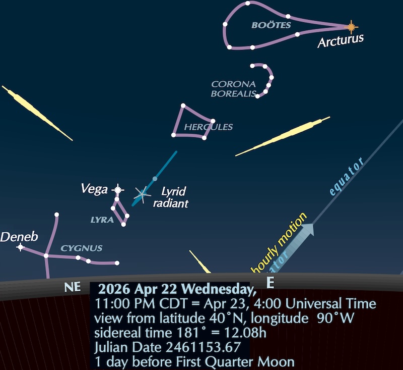 Diagram: Cygnus, Lyra, Hercules, Corona Borealis and Bootes above the horizon with meteors streaking away from Lyra, with explanatory text.