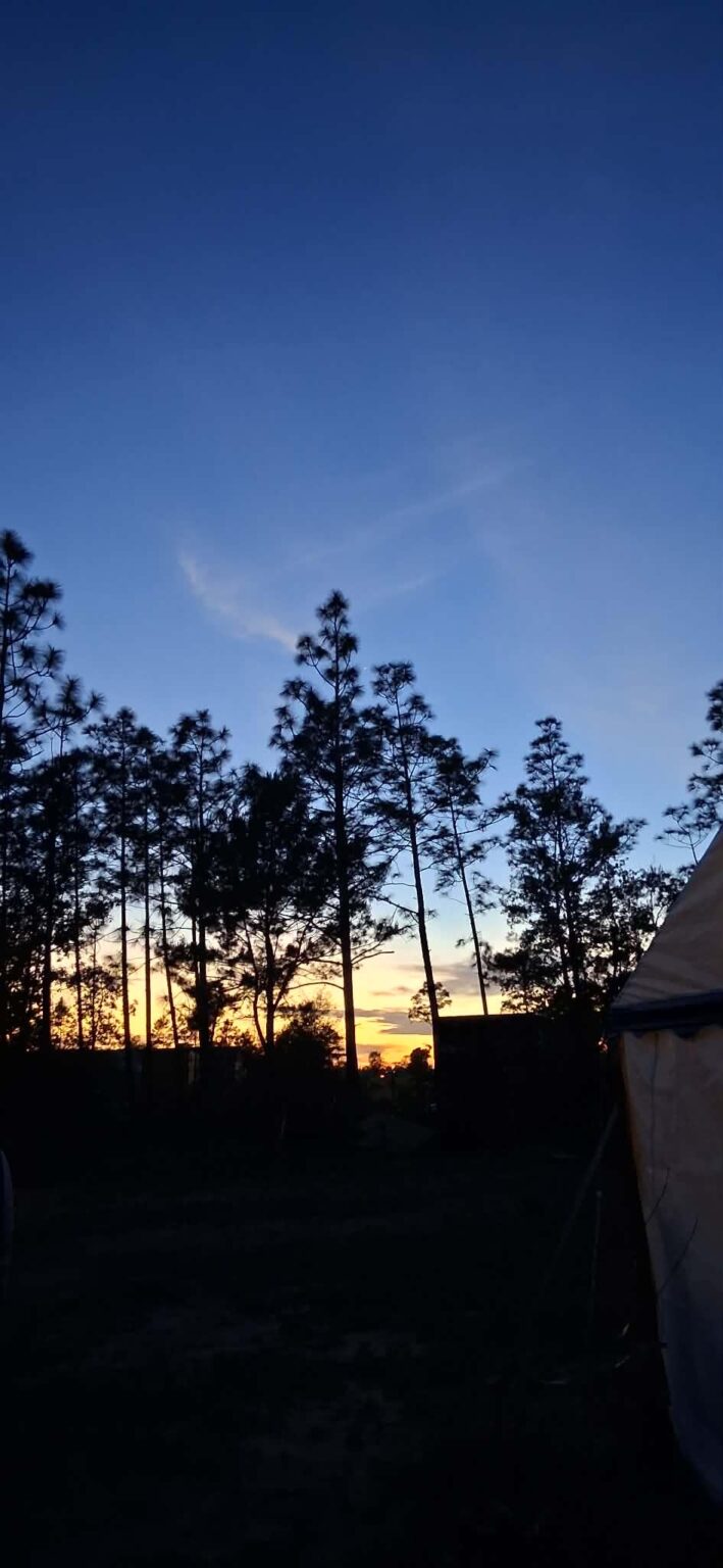 Seen in Fountain FL, 4/24/26 7:41 PM