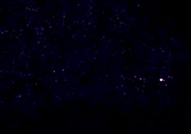 Serious: Enhanced footage of Homolovi Ruins State Park anomalous UAP behavior