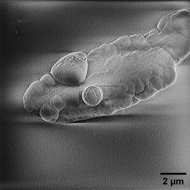 Microscope Image of Cosmic Dust Analogue