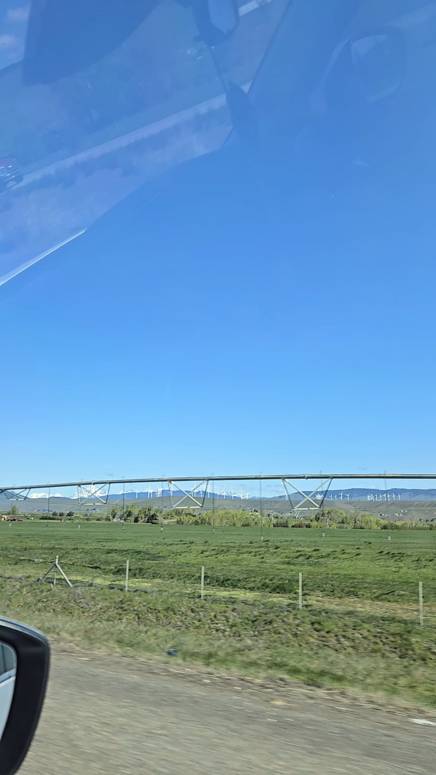 Just caught a Tic Tac on video while on a road trip