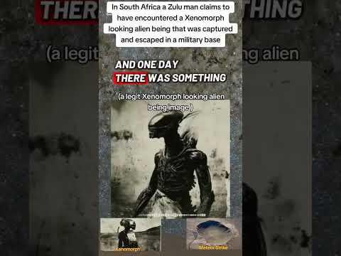 😱 Reported Encounter in South Africa… Zulu Man Describes a “Xenomorph-Like” Being 👀