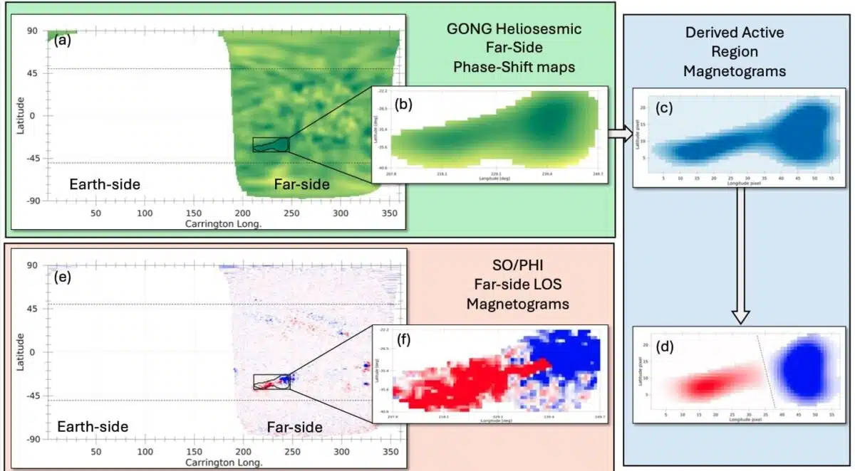 Polarity‑resolved Far‑side Magnetic Fields From Helioseismic Detection