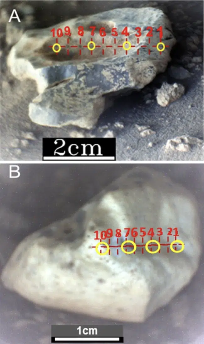 Rmi Images Of Martian Pebbles Hampden River (a) And Coffee Cove (b), Showing Libs Targets (red Crosses) And Luminescence Analysis Points (yellow Circles).