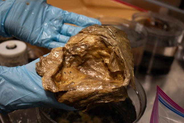 A close up image of the “golden orb” in the lab of the Smithsonian Institution.