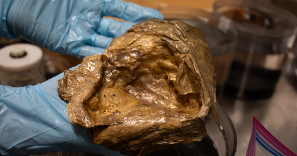 'Golden egg' mystery which sparked alien fears solved by scientists