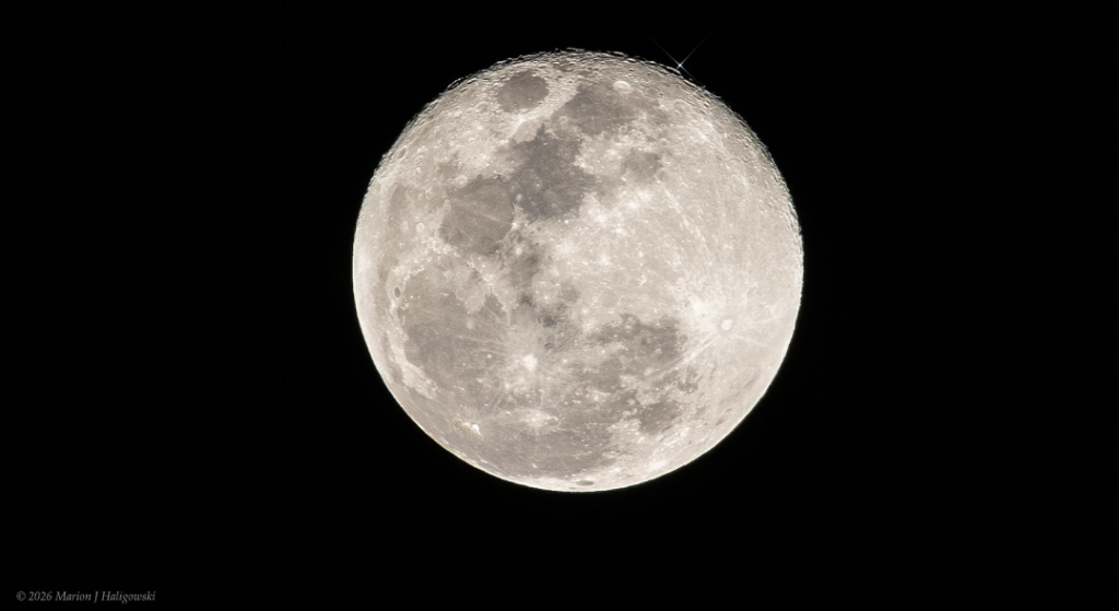 The Moon occults Regulus on February 2nd, 2026. Credit: Marion Haligowski.