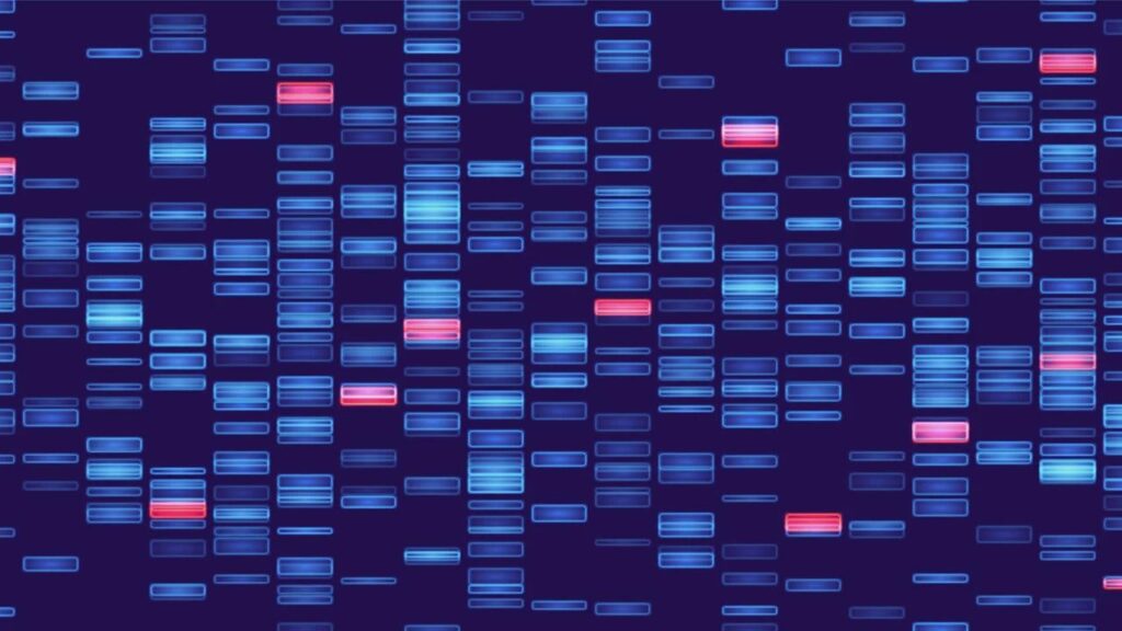 A new form of life has just been designed in a lab