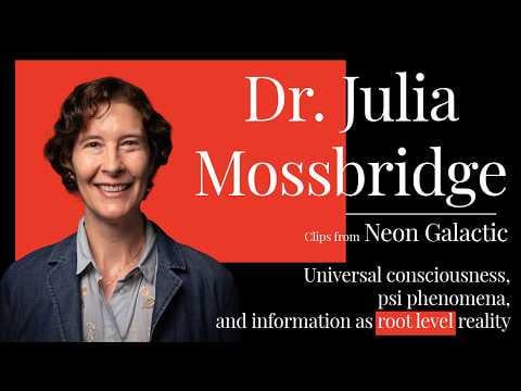 Julia Mossbridge: The universe is information, and love is fundamental force