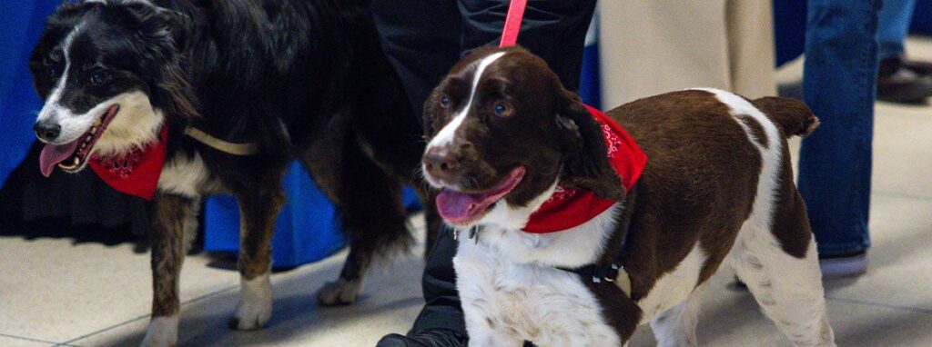 COMETS HOST SUCCESSFUL PUCKS FOR PAWS NIGHT