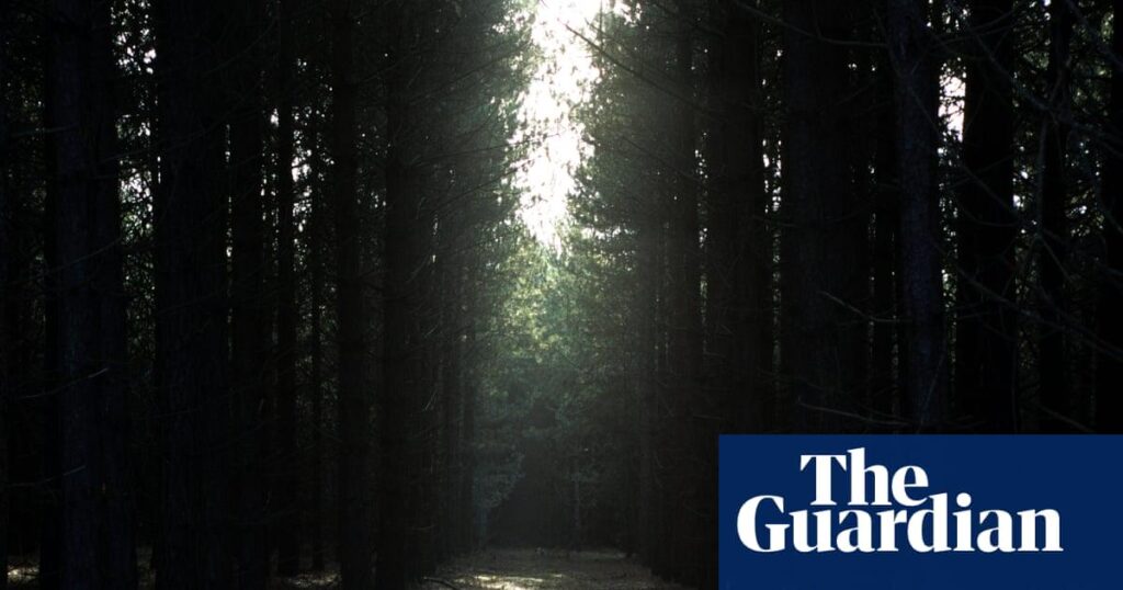 Interesting read about the Rendlesham Forest incident