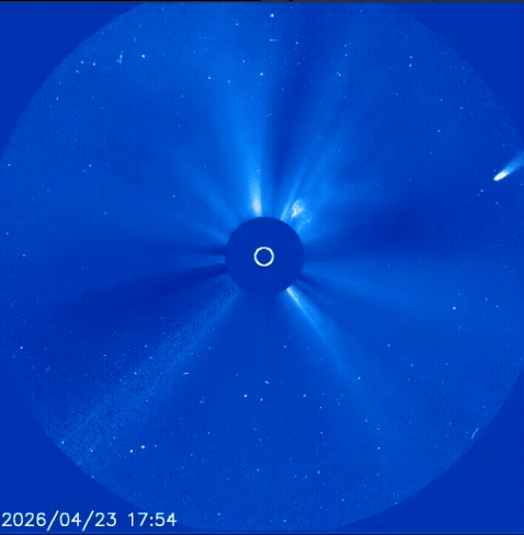 A GIF of a coronagraph showing a comet emerging from the upper right.