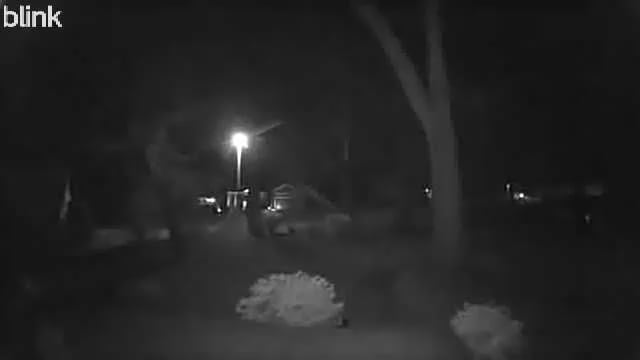 Caught on doorbell camera…..
