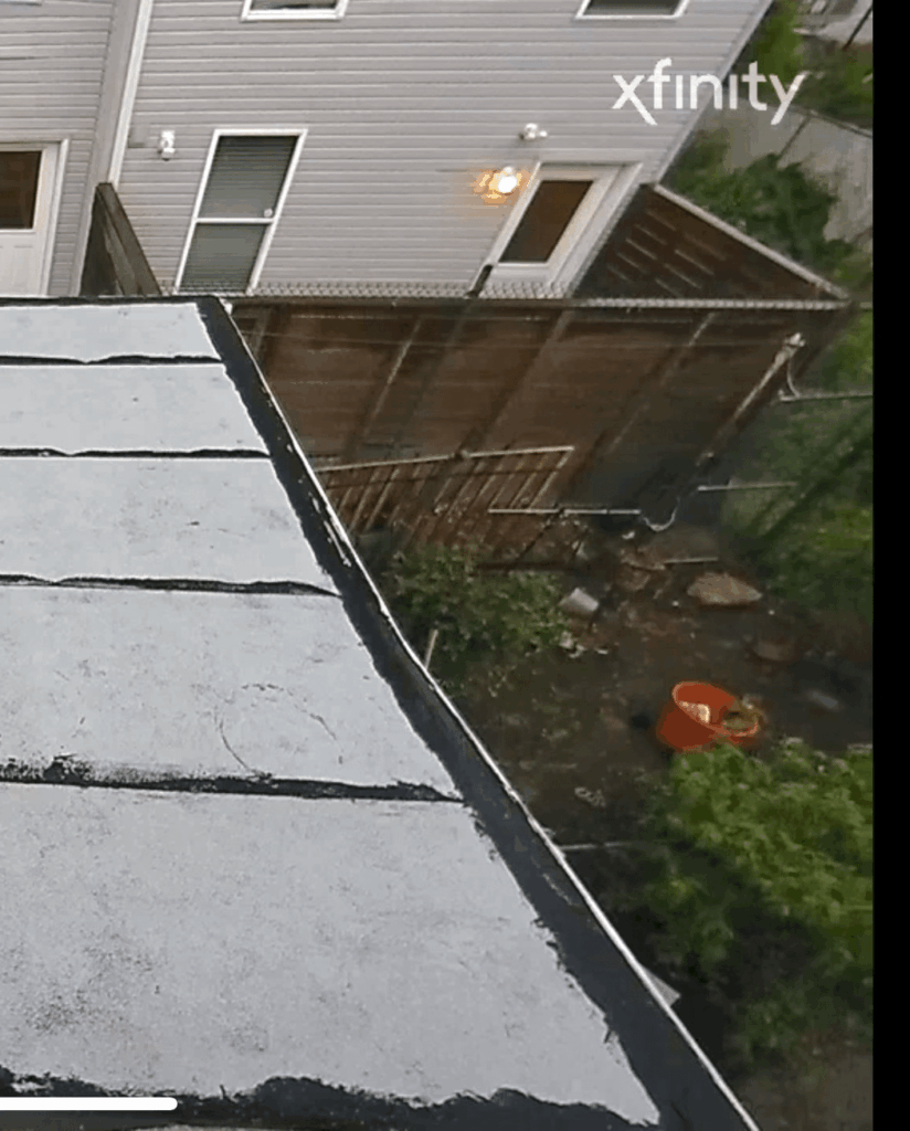 Bam is this enough proof you can see the eyes and the shape of the head