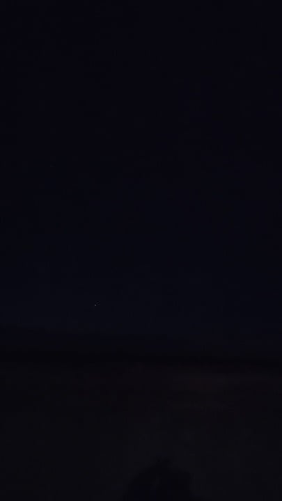 Saw something tonight I can't make it out what could it be?