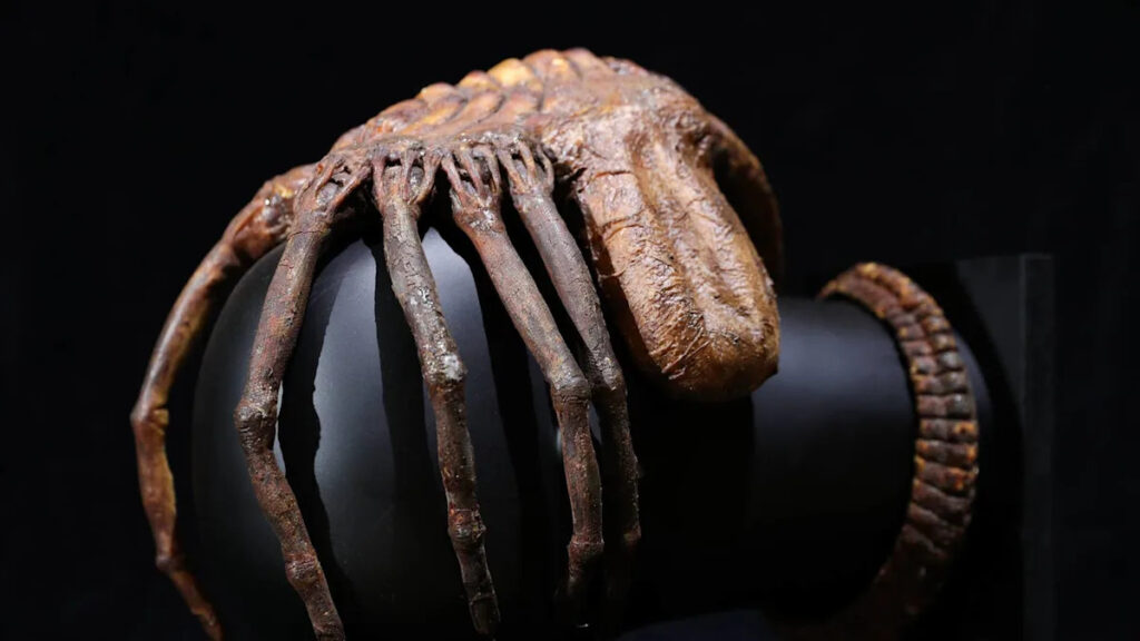 Yahoo entertainment home