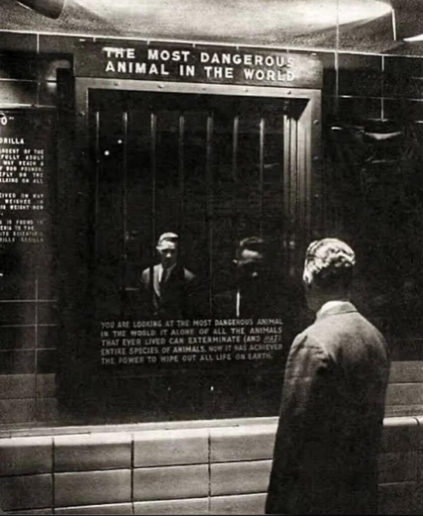A 1963 zoo exhibit that reflected viewers back at themselves.