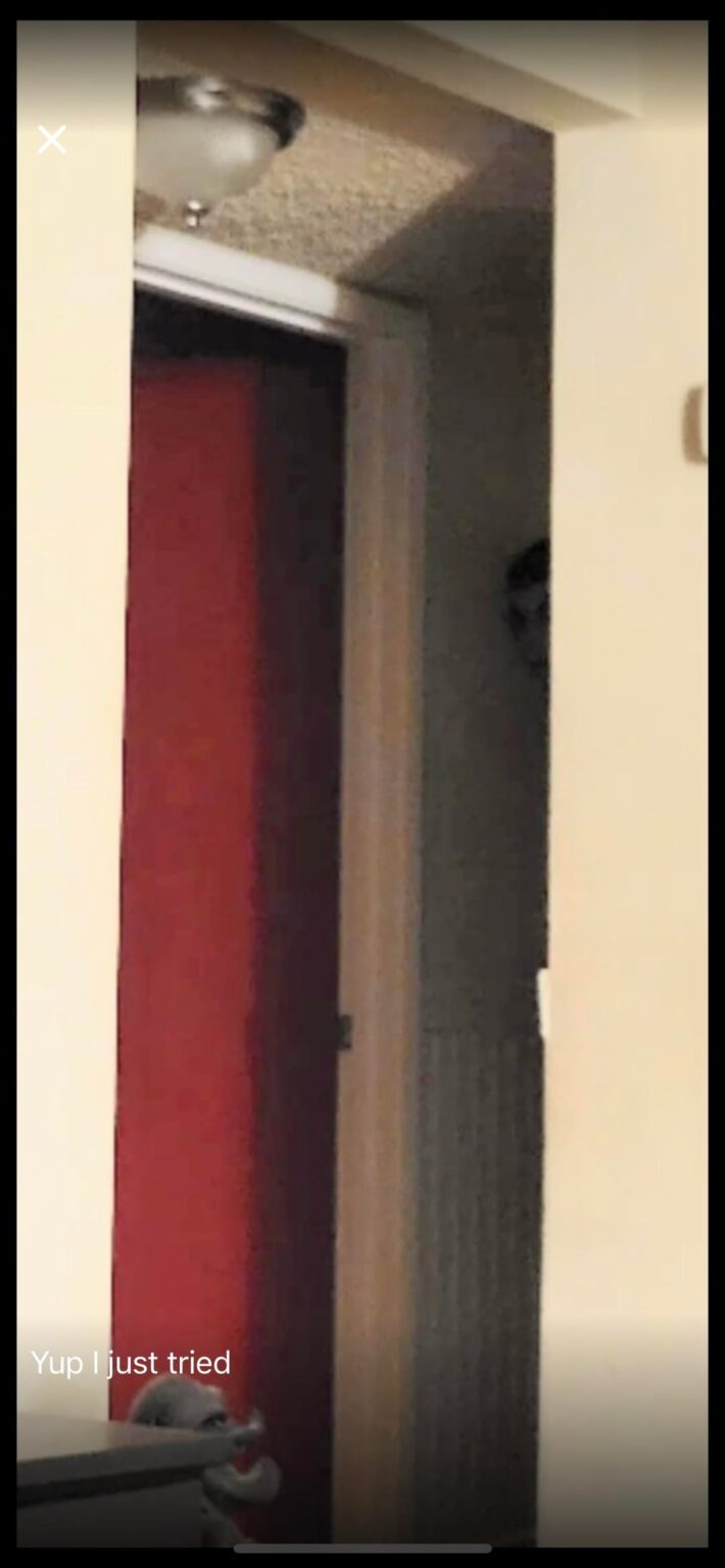 Anyone remember when these was posted ? They were scrubbed off subreddits but they were insane. Both of these images was took from 2 different peoples bedrooms and 2 different posts n the comments was full of people editing the exposure and found this.