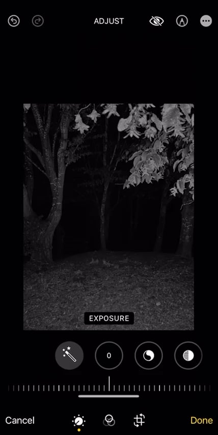 Think we saw something.