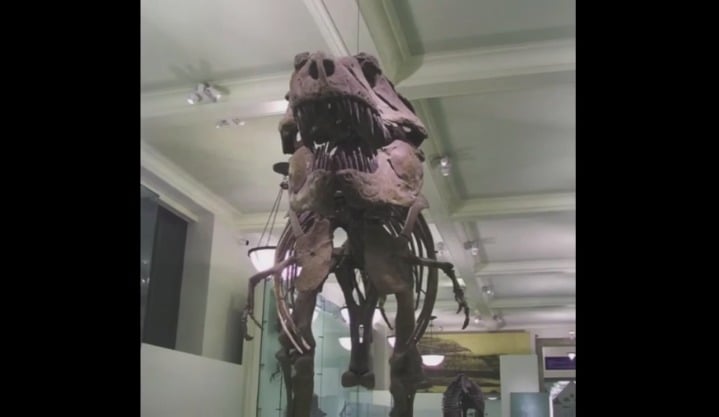 Noises from this video remind me of a strange event from my childhood