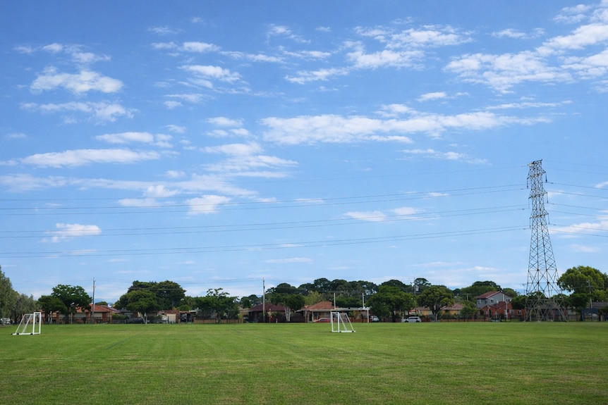 A wide view of a school oval with green grass and blue sky. Residential houses and powerlines in background