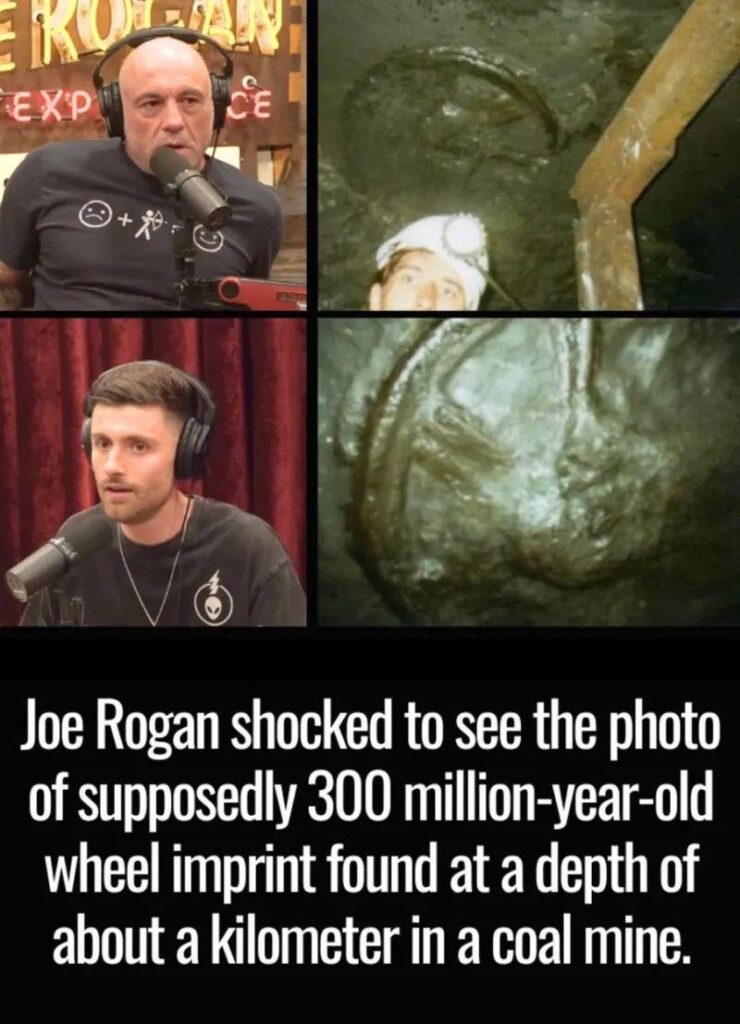 The 300 Million Year Old Wheel Mystery