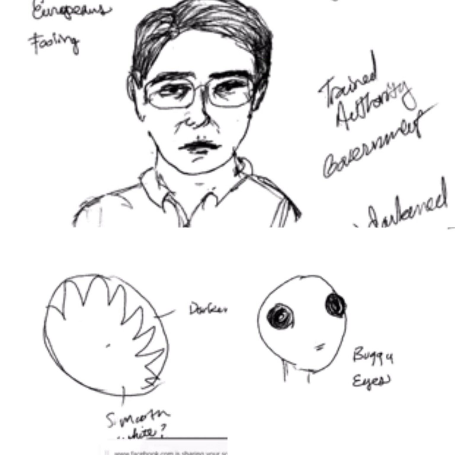 Blind Remote Viewing of Missing USAF General McCasland Points to Possible UFO/NHI Involvement