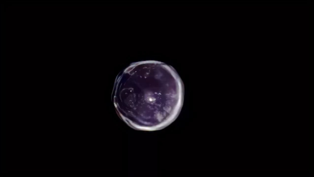 High resolution video of Orb filmed by Peter Osborne at the home of Chris Bledsoe