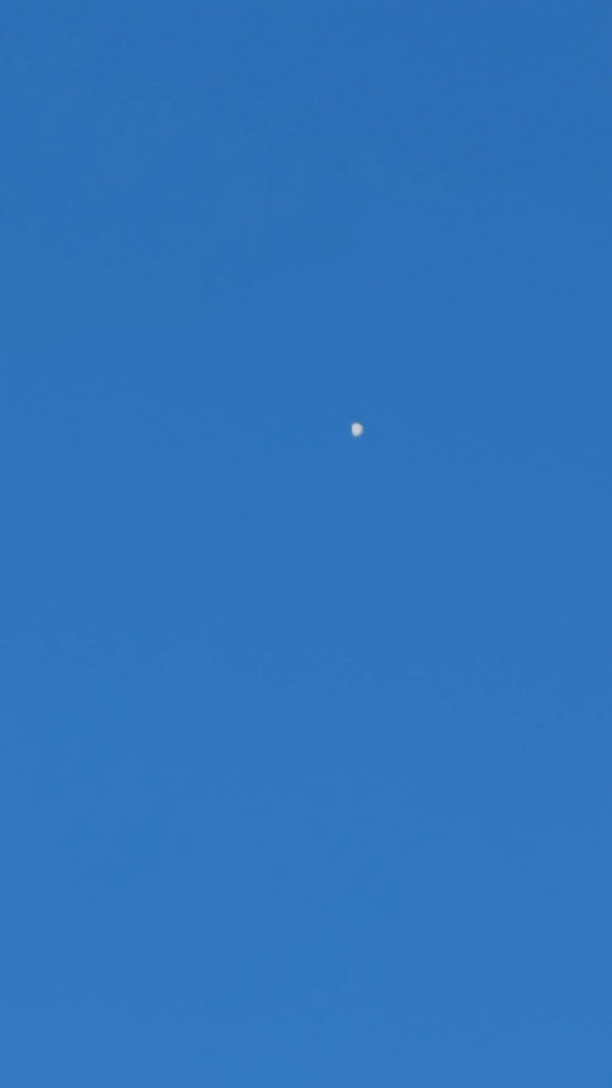 Seen in Las Vegas, 4/8/2026 5:08PM