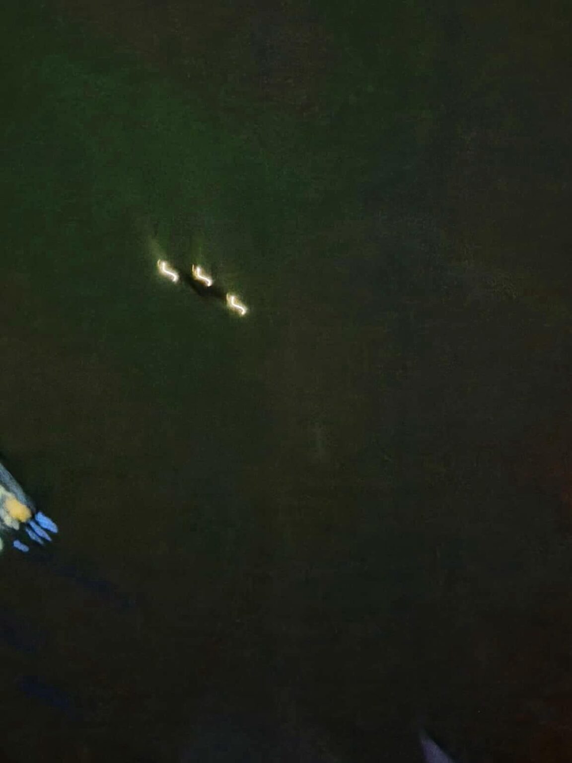 did anyone else in MD see this on highway 495 this morning?