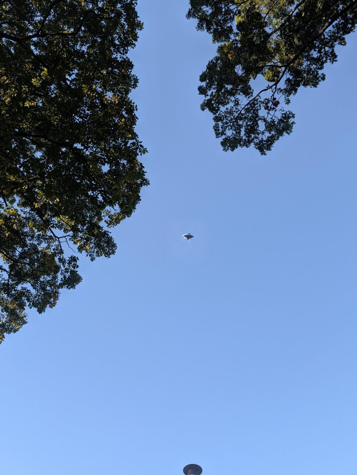 saucer shaped object saucer shaped object