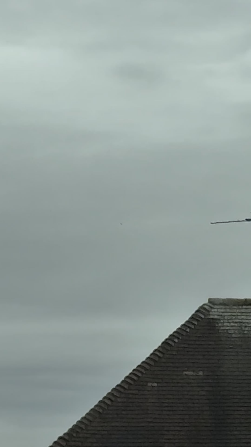 Possible sighting would love your insights!