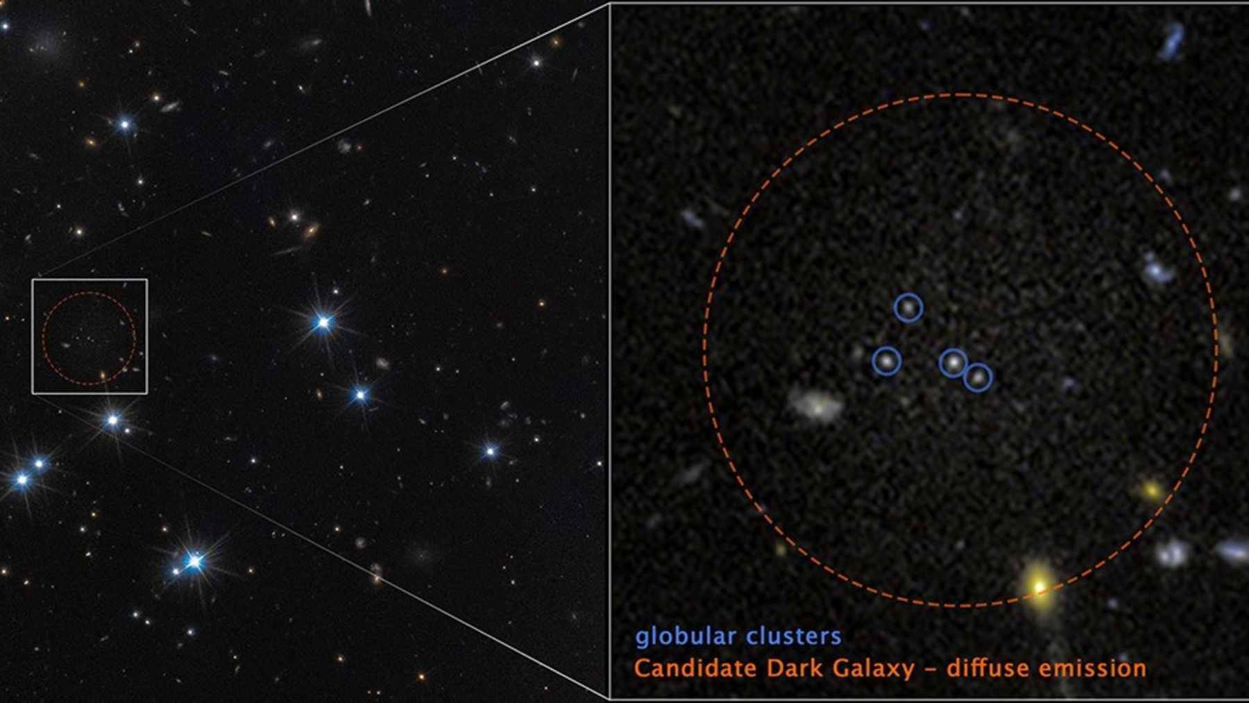 A deep-space composite image from the Hubble and Euclid telescopes showing the Perseus galaxy cluster, with a circle highlighting the faint star clusters of CDG-2.