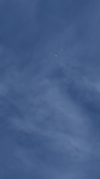 Was picking up my dogs shit when I looked up and saw this. Any thoughts?