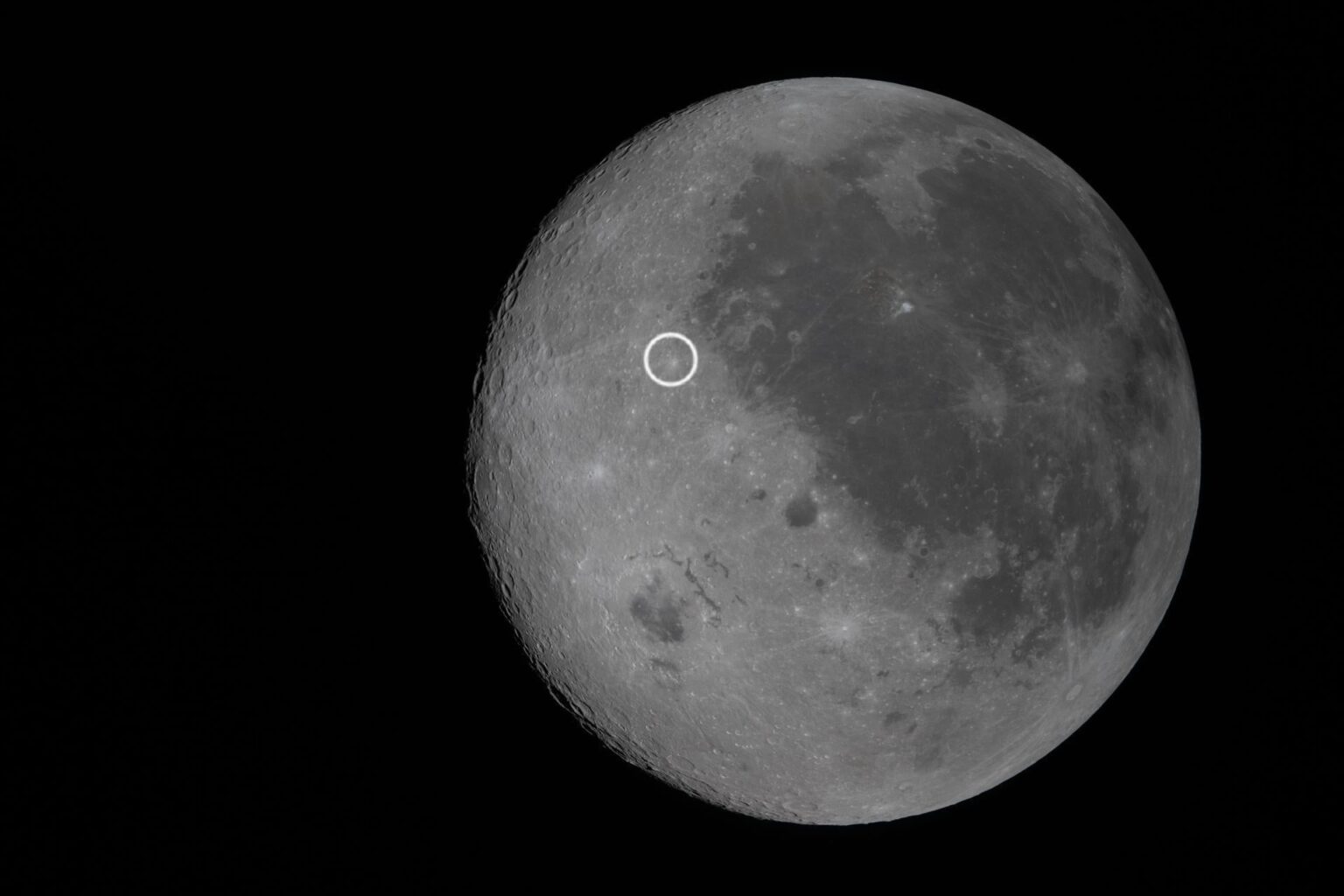 Carroll Wiseman's Bright Spot