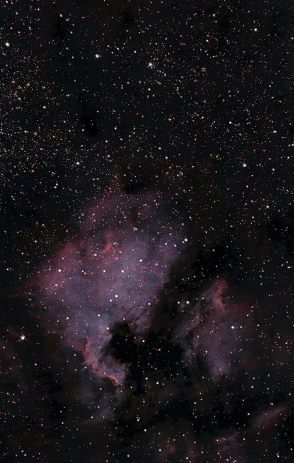 North American Nebula at 200mm