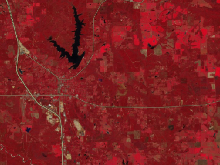 Customize Fire Related Imagery Through the HLS Interface, TiTiler, and FIRMS