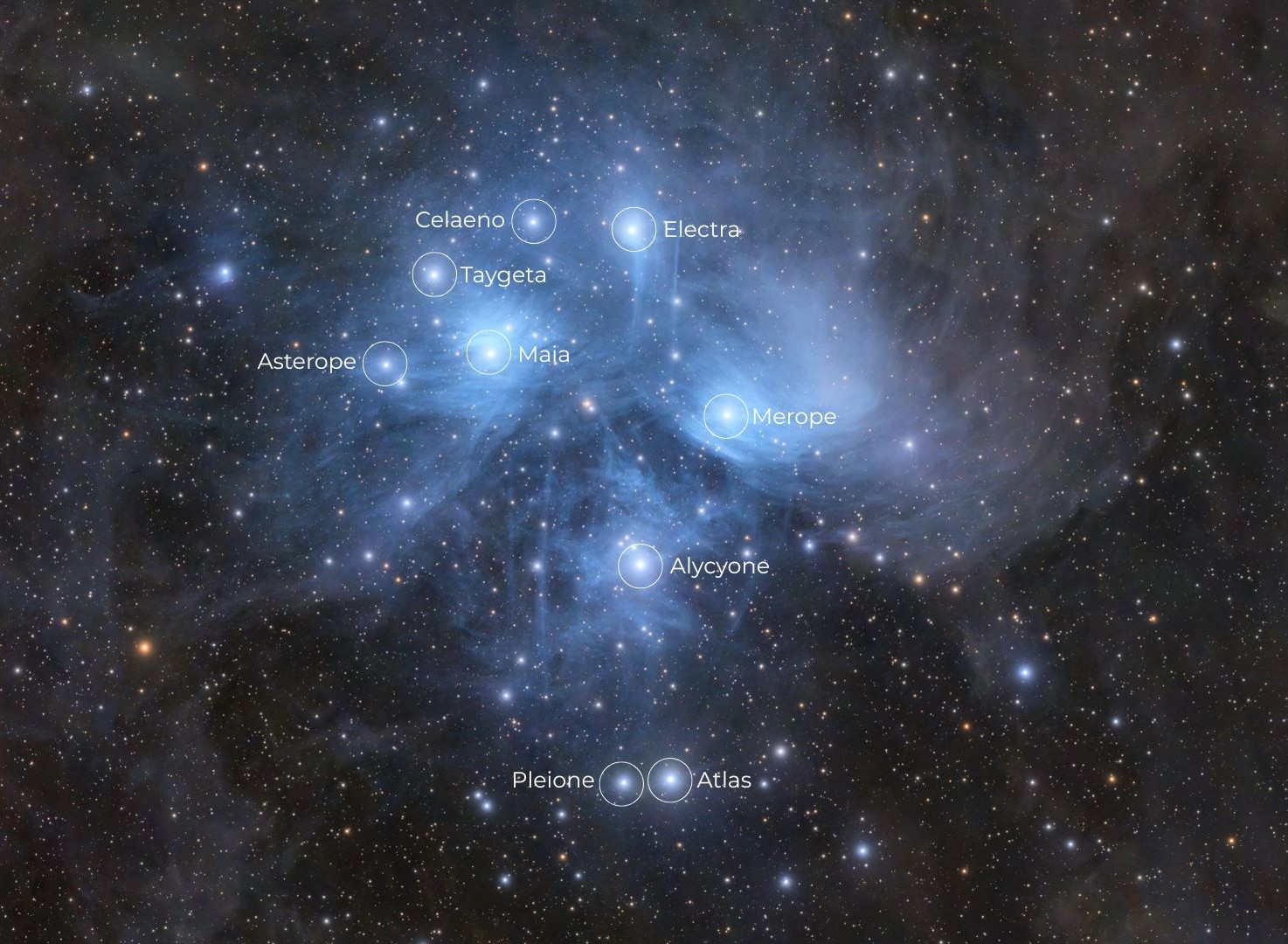 The stars of the Pleiades open cluster shine brightly against a more distant starfield, while surrounded by blue nebulosity. The names of prominent stars have been labelled with a white circle.