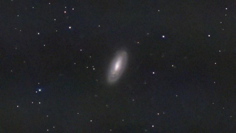 Caldwell 29 (or NGC 5005, a spiral galaxy)