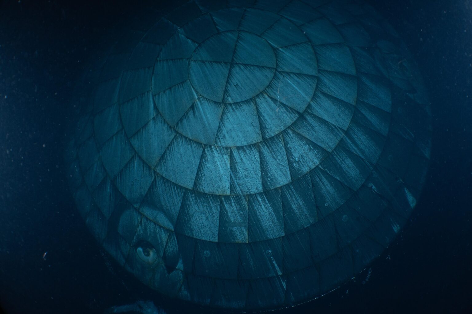 This rather creepy photo is Artemis II’s heat shield underwater, as taken by the U.S. Navy. This is the first photo we have of the heat shield, and upon initial examination it doesn’t seem to have the char loss that Artemis I’s had.