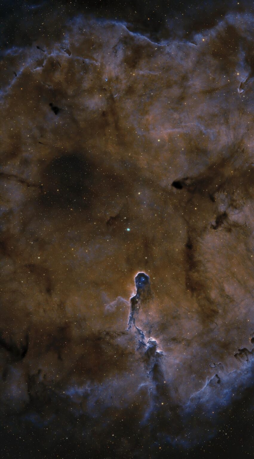 IC 1396 - Elephant's Trunk Nebula