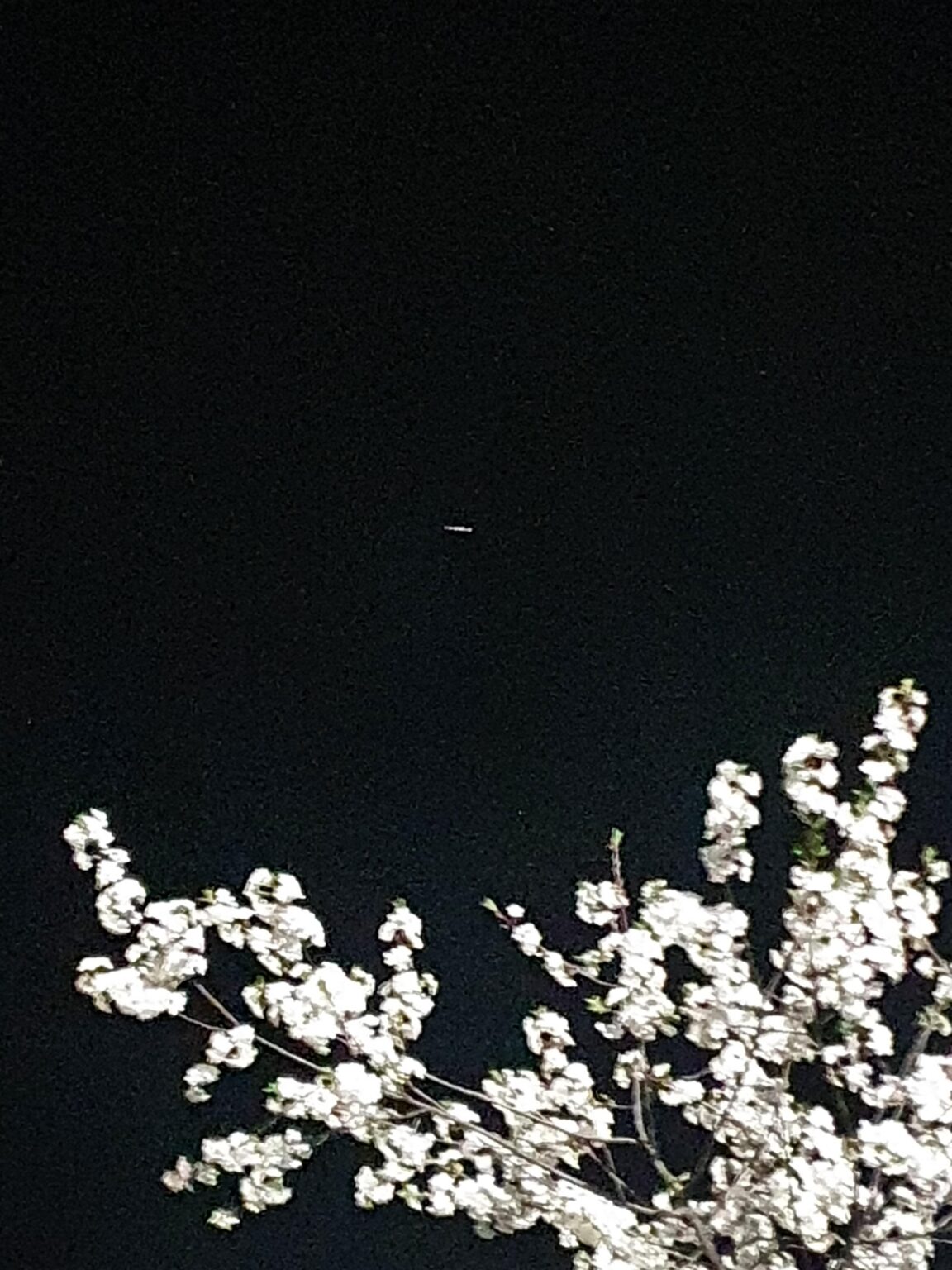 Does this have anything to do with UFOs?