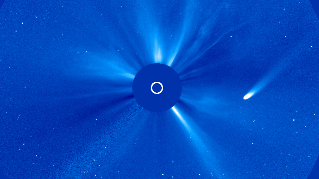 A comet is pictured in coronagraph data flying past the sun.