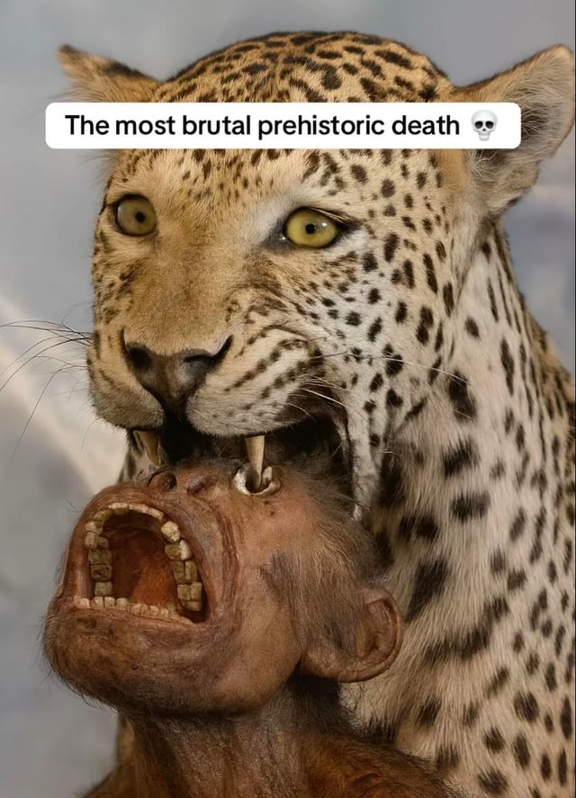 Prehistoric death ☠️